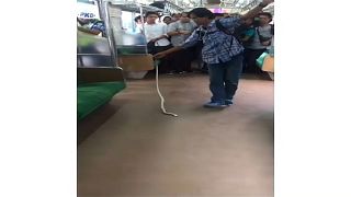 رجل قتل ثعبانا بيديه في قطار بجاكارتا