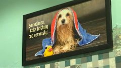 Luxushotel für Hunde
