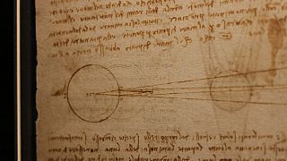 Il codice Leicester di Leonardo da Vinci torna in Italia