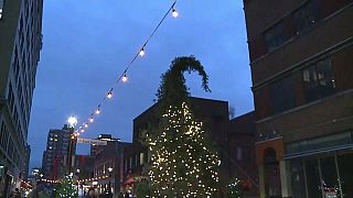A legcsúnyább karácsonyfa idén Montreal-ban van