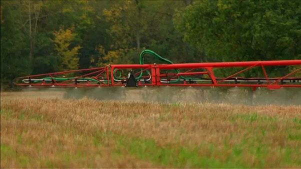 Le glyphosate a le champ libre en Europe Le glyphosate a le champ libre en Europe