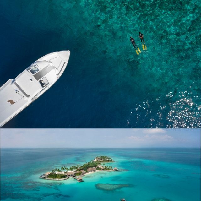 Snorkeling with an Octopus, Cheval Blanc Randheli, Maldives