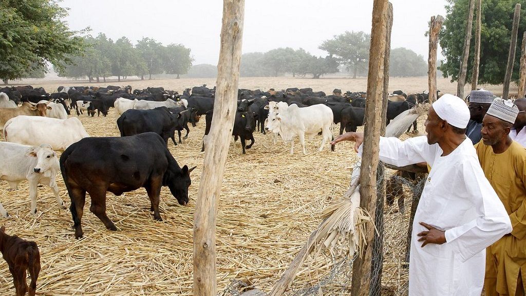 Photos Buhari And Museveni Africa S Farmer Presidents Africanews