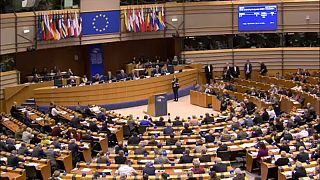 البرلمان الأوروبي يدعو إلى فرض حظر على  بيع الأسلحة  للسعودية