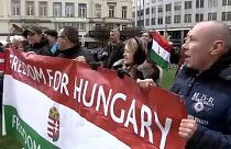 Венгерские националисты протестуют против "диктата" ЕС