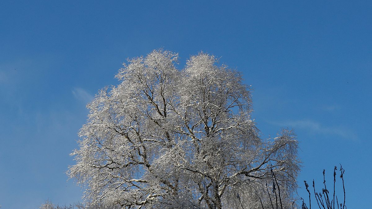 Winter is coming: Schnee vor dem 1. Advent in 10 Tweets