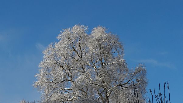 Winter is coming: Schnee vor dem 1. Advent in 10 Tweets Winter is coming: Schnee vor dem 1. Advent in 10 Tweets