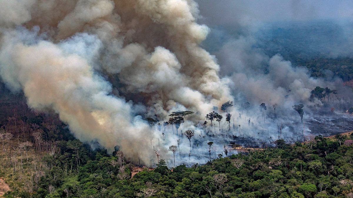 Image: Smoke billows from a fire burning in the Amazon basin near Candeias 