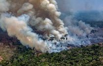 Image: Smoke billows from a fire burning in the Amazon basin near Candeias