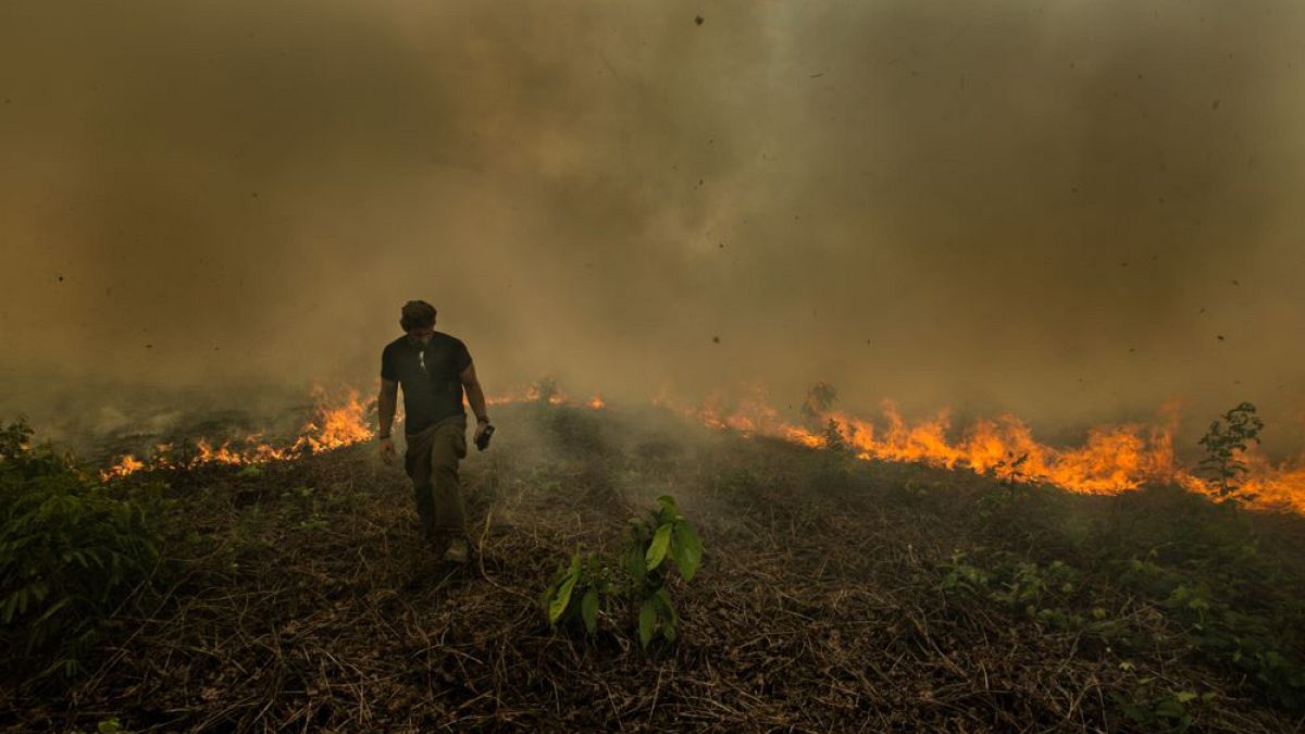 Image: Amazon rainforest fire