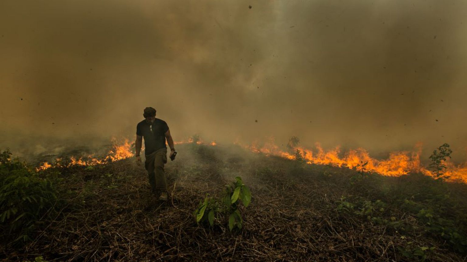 Image: Amazon rainforest fire