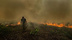 Image: Amazon rainforest fire