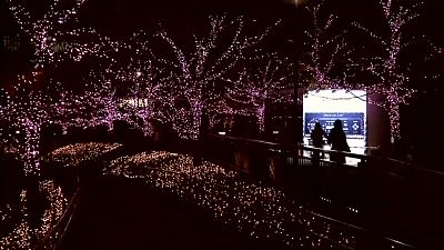 Cerejeiras em Led para celebrar o Natal em Tóquio