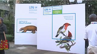 Assemblée de l'ONU au Kenya : la pollution à l’ordre du jour