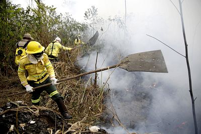 Firefighters work to put out fires along the road to Jacunda National Forest, near the city of Porto Velho in the Vila Nova Samuel region which is part of Brazil\'s Amazon on Aug. 26, 2019.