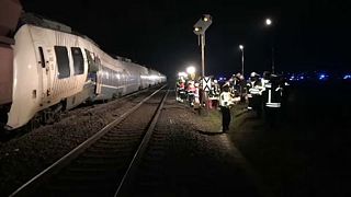 Dozens injured in a train collision in Meerbusch, Germany