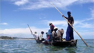 Protecting corals and mangroves, Kenya's fishermen net cash and more fish