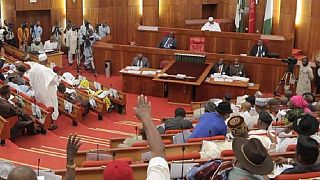 Nigeria's Senate to probe police brutality allegations