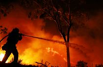 Kalifornien: Starker Wind facht Waldbrände an