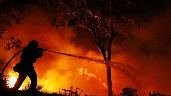 La California in fiamme per il quarto giorno di seguito La California in fiamme per il quarto giorno di seguito