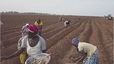 ECOWAS, and partners want protection of women's rights in Agriculture