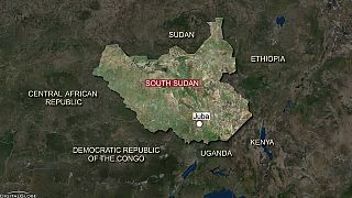 Over 40 killed in South Sudan ethnic clashes