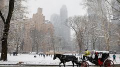 Zum 2. Advent Schnee in Berlin, New York und anderswo - 10 Tweets