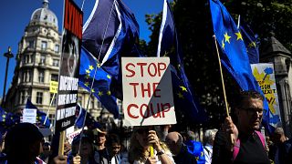 Image: Anti-Brexit demonstrators protest outside of Parliament in London on