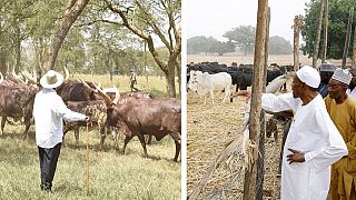 [Photos] Buhari and Museveni, Africa's farmer presidents