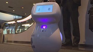 Jeux olympiques de 2020 : des robots pour accueillir les visiteurs