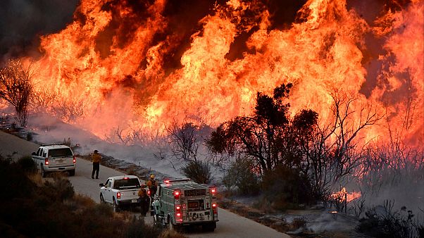 2017 : attentats, catastrophes et bouleversements politiques 2017 : attentats, catastrophes et bouleversements politiques