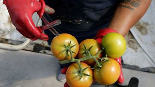 Συνεχίζονται οι διαπραγματεύσεις ΕΕ-Μεξικού