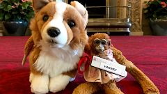 Image: Harriet the Monkey with her new friend, Rex the Corgi, at Buckingham