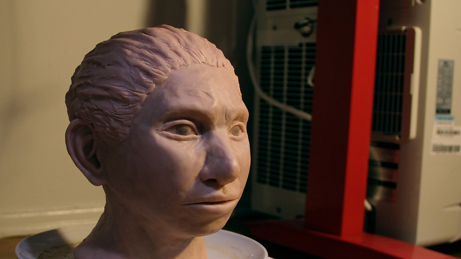 Image: This image shows a portrait of a juvenile female Denisovan based on 