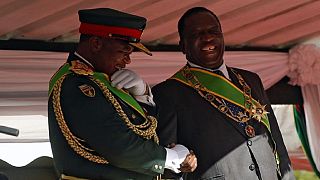 Zimbabwe : l'auteur du coup de force anti-Mugabe nommé vice-président du parti au pouvoir