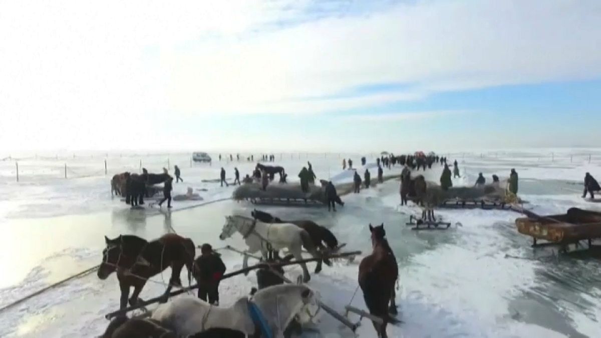 چین؛ ماهی‎گیری از دریاچه یخ‌زده چگان