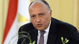Egypt's FM to visit Ethiopia to revive Nile dam talks