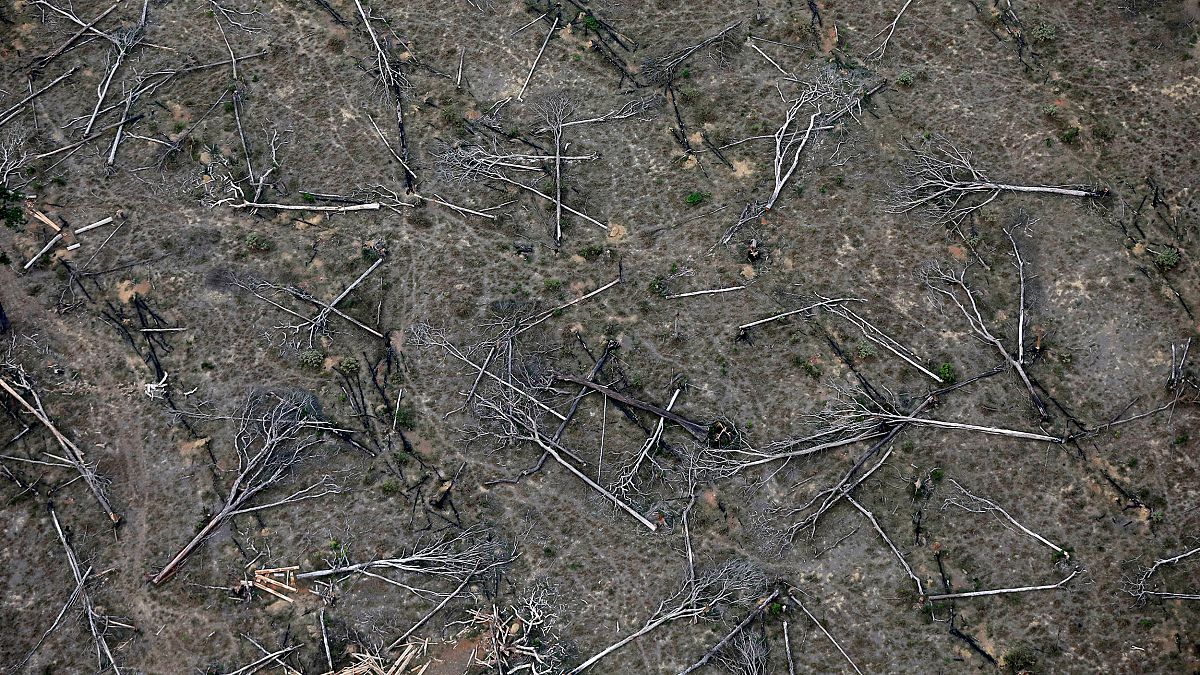 Image: An aerial view shows a deforested plot of the Amazon near Porto Velh