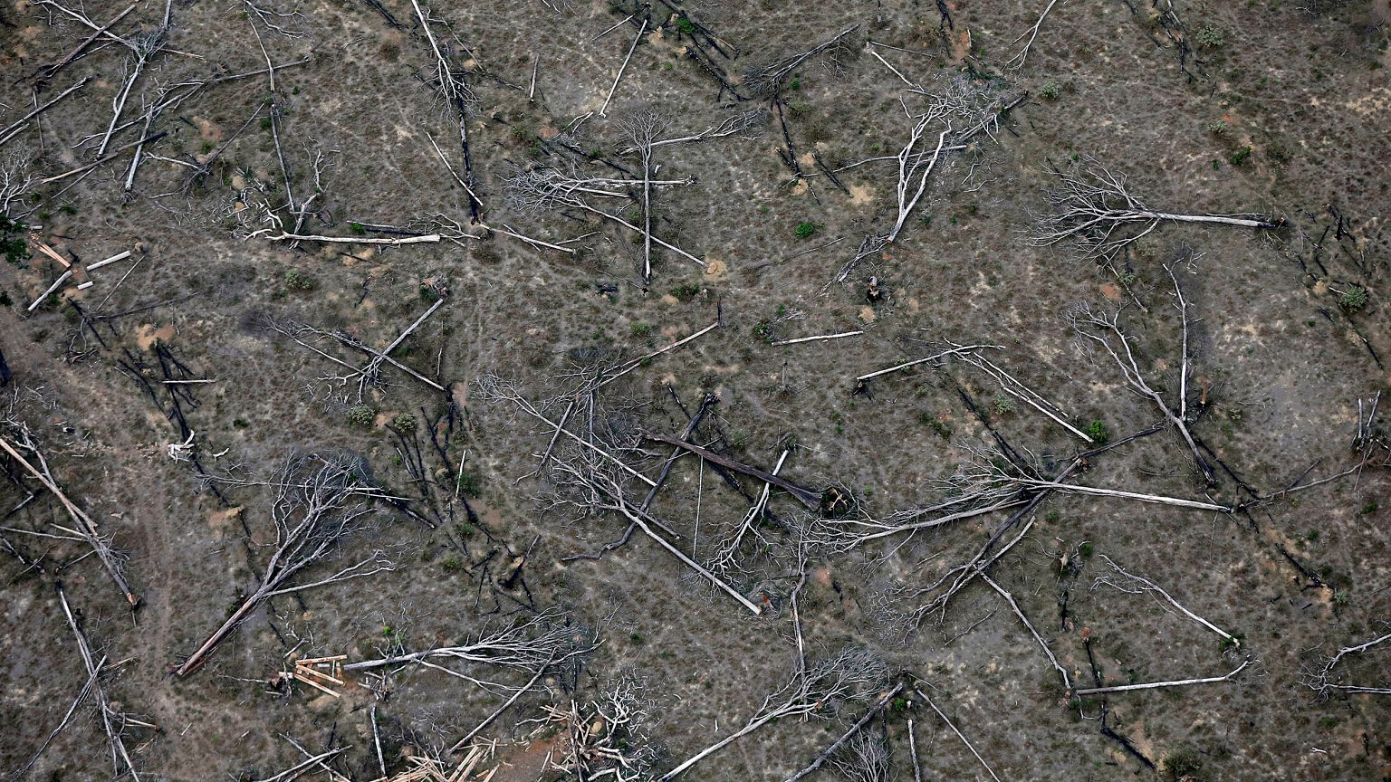 Image: An aerial view shows a deforested plot of the Amazon near Porto Velh