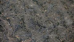 Image: An aerial view shows a deforested plot of the Amazon near Porto Velh