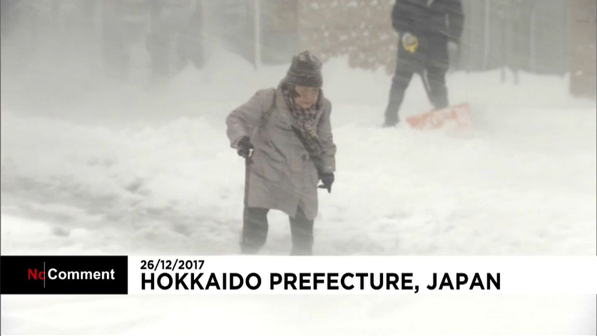 برف و بوران شدید در ژاپن