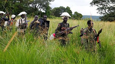 South Sudanese rebels detained by DR Congo army