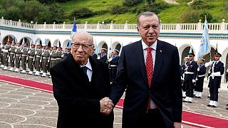Erdogan en Tunisie pour parler commerce et défense