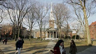 Image: Harvard University Campus