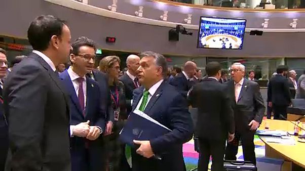 Macaristan ve Polonya AB'yi endişelendiriyor Macaristan ve Polonya AB'yi endişelendiriyor