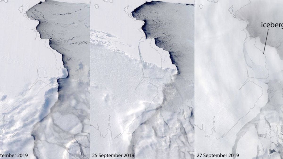 Iceberg bigger than L.A. just broke off Antarctic ice shelf | Euronews