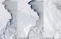 The Amery Ice Shelf iceberg calving sequence