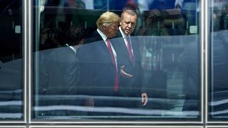 Image: Donald Trump, Recip Tayyip Erdogan