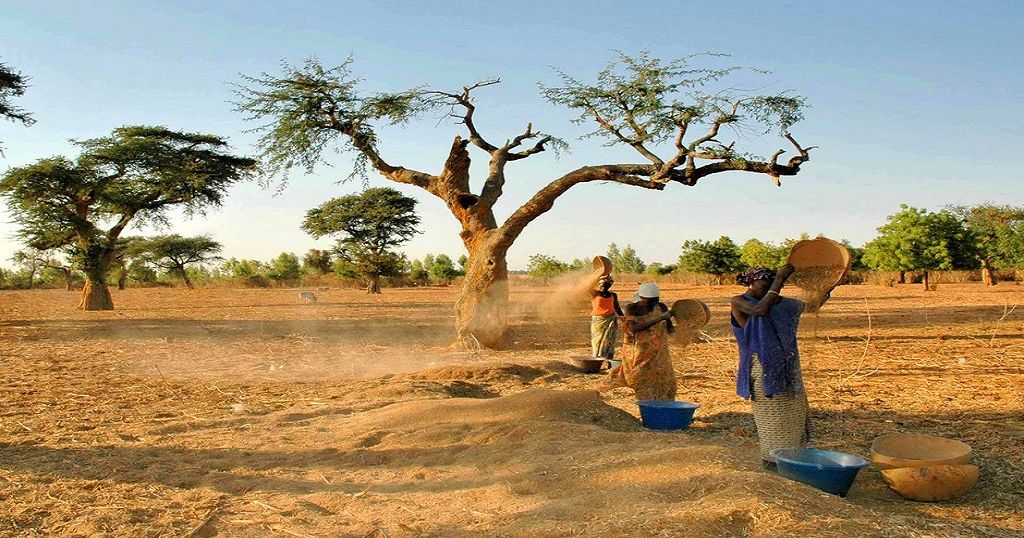 Sénégal des femmes devenues autonomes grâce à l'agriculture Africanews