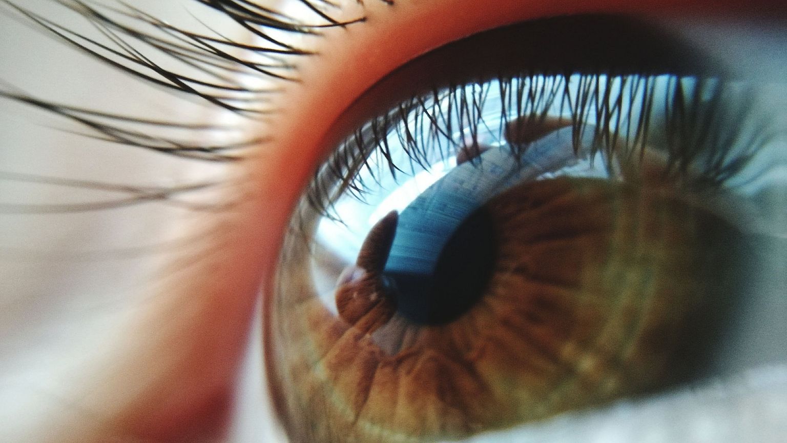 Image: Reflection in a human eye.